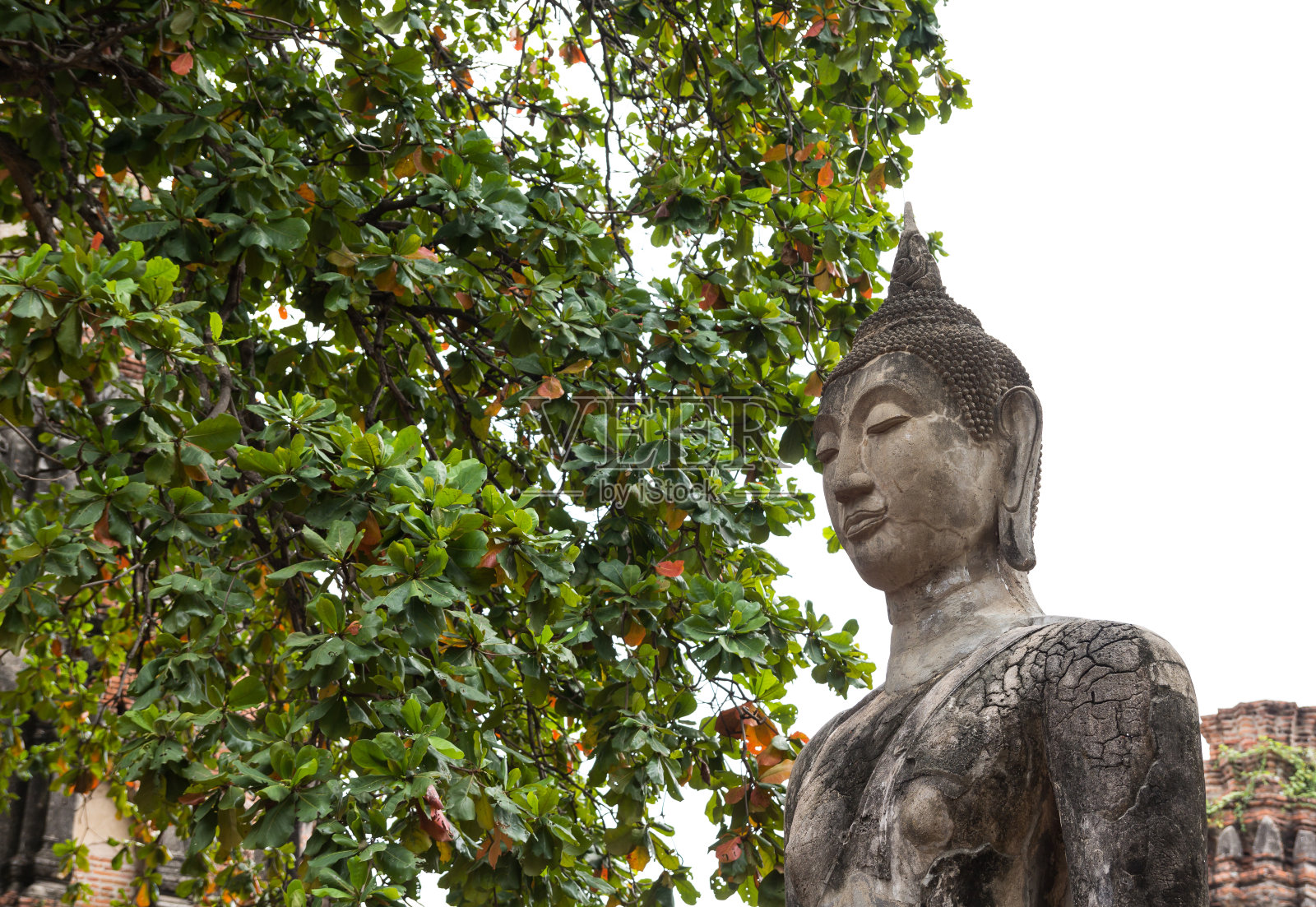 大城府玛哈塔寺的古代佛像照片摄影图片