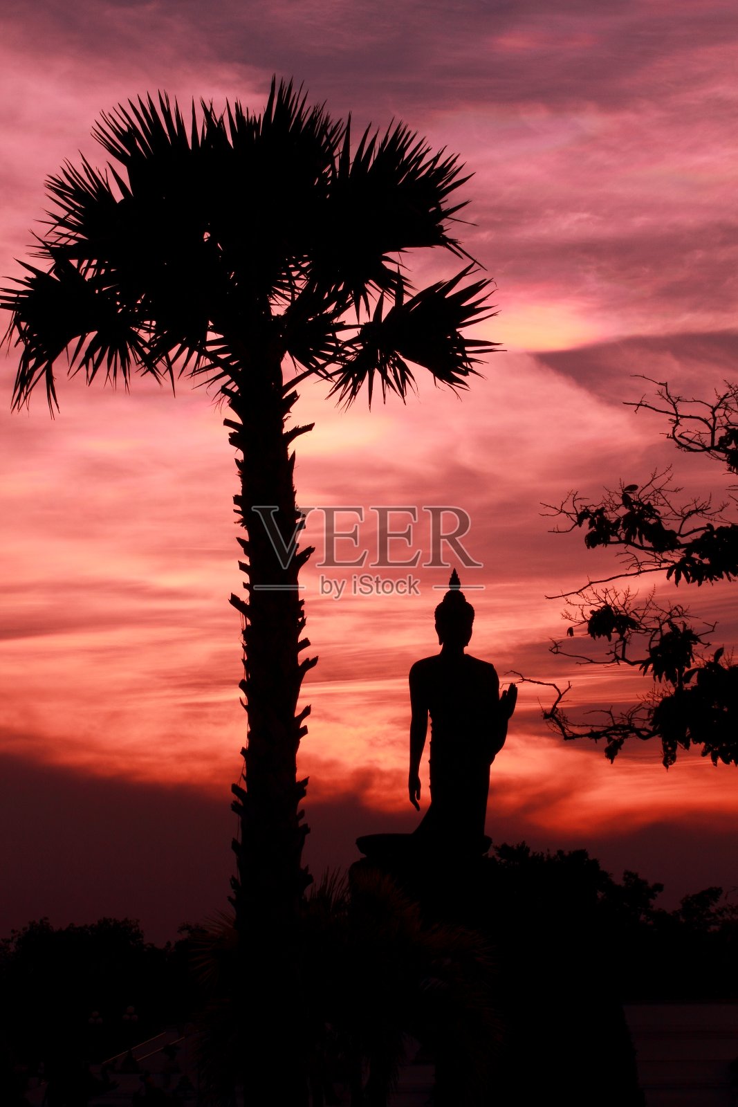 傍晚日落时的佛像。照片摄影图片