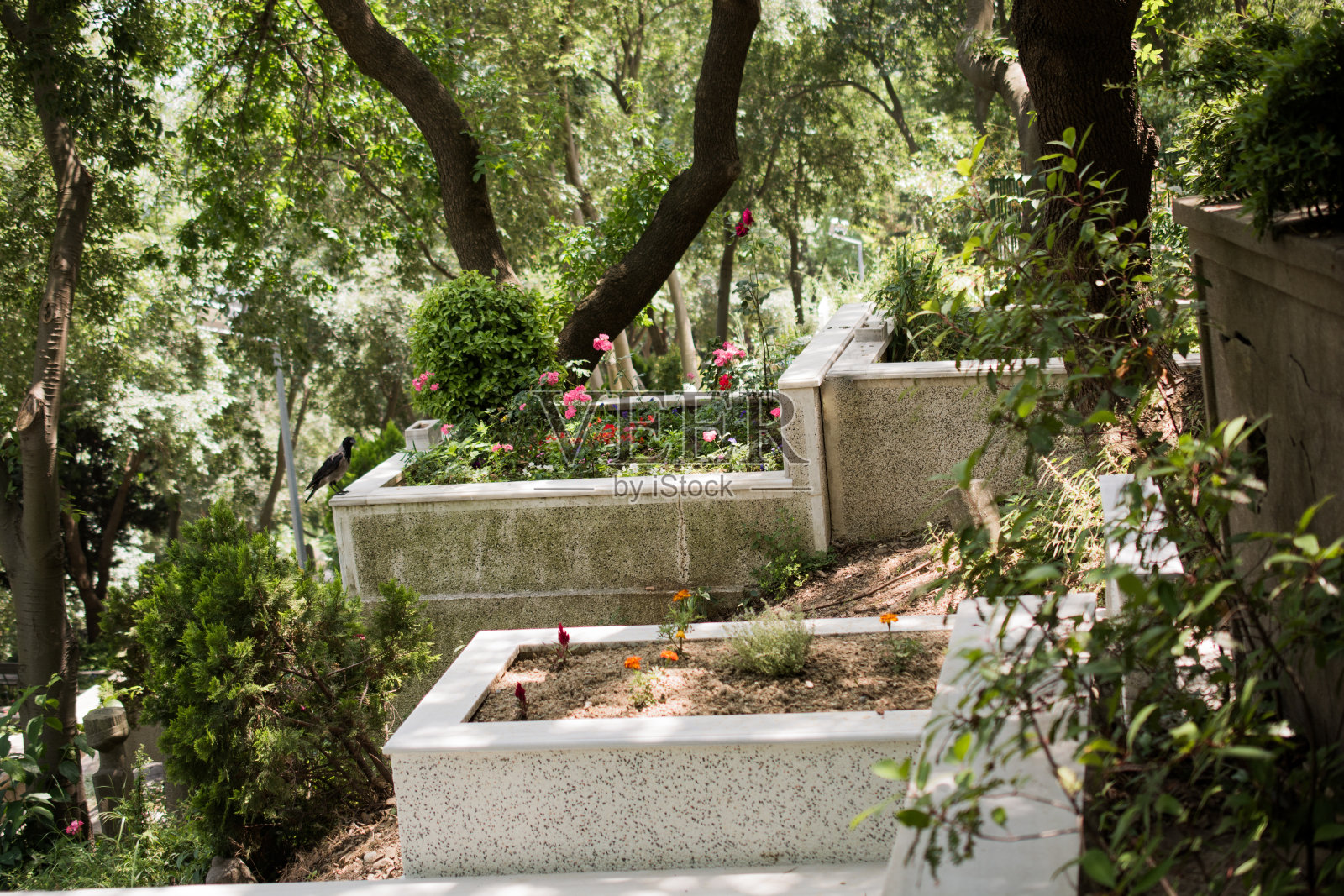 墓园中奥斯曼墓的石雕艺术照片摄影图片