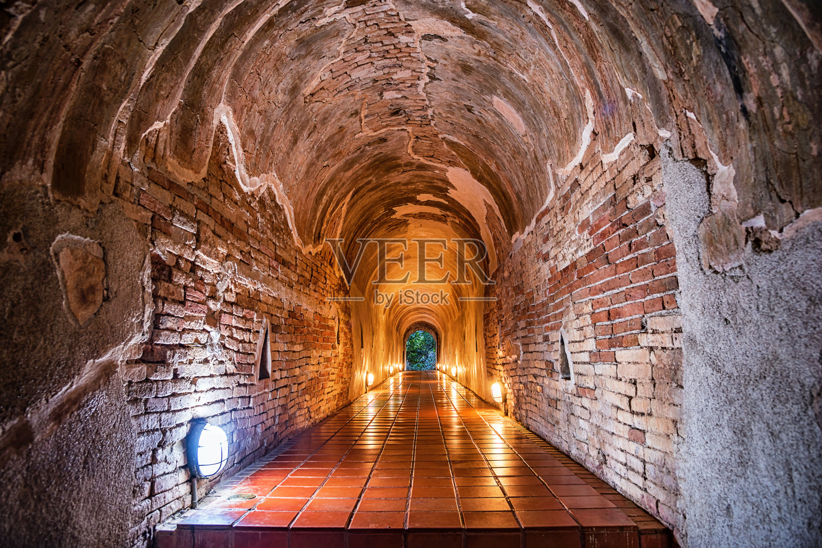 Umong Suan Puthatham庙隧道。照片摄影图片