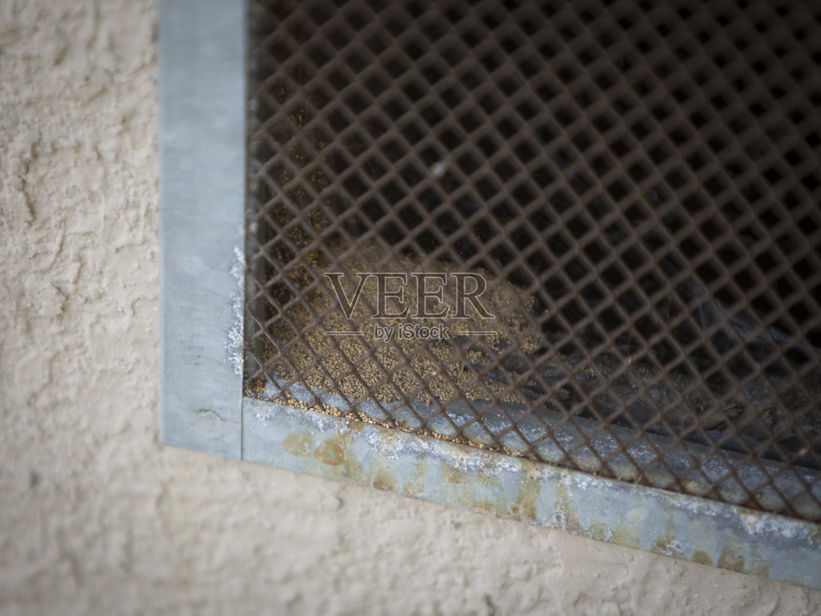 从外面看白蚁粪便照片摄影图片