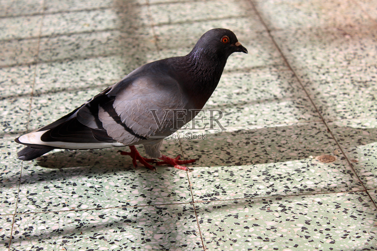 在哪里照片摄影图片