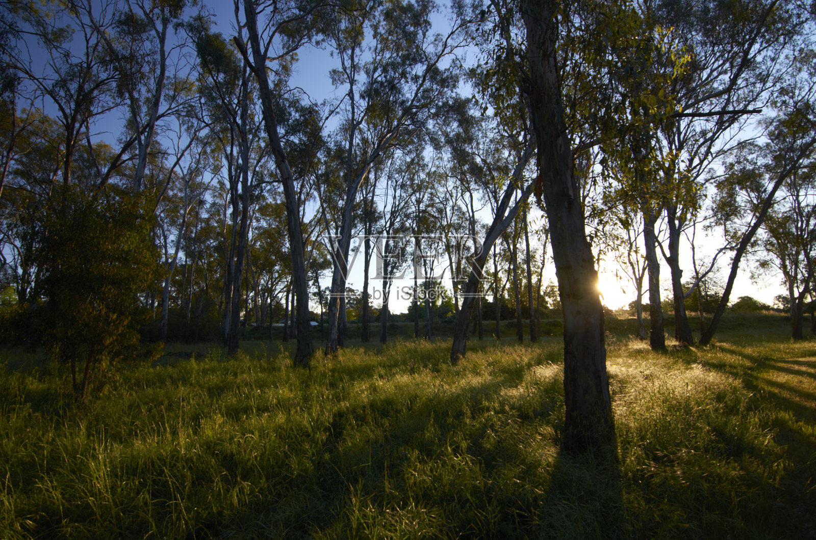 格林公园照片摄影图片