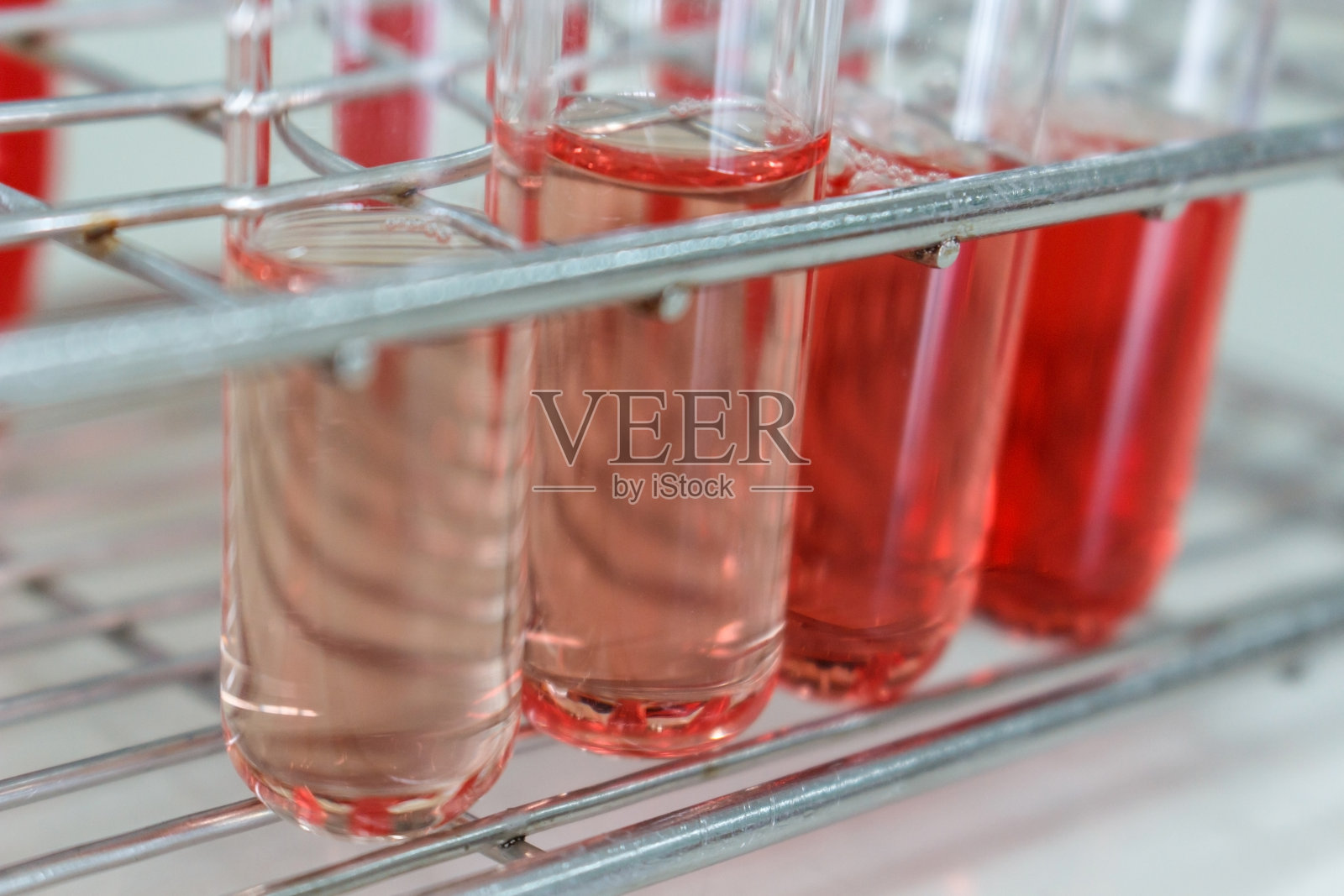 试管中的红细胞准备测试照片摄影图片