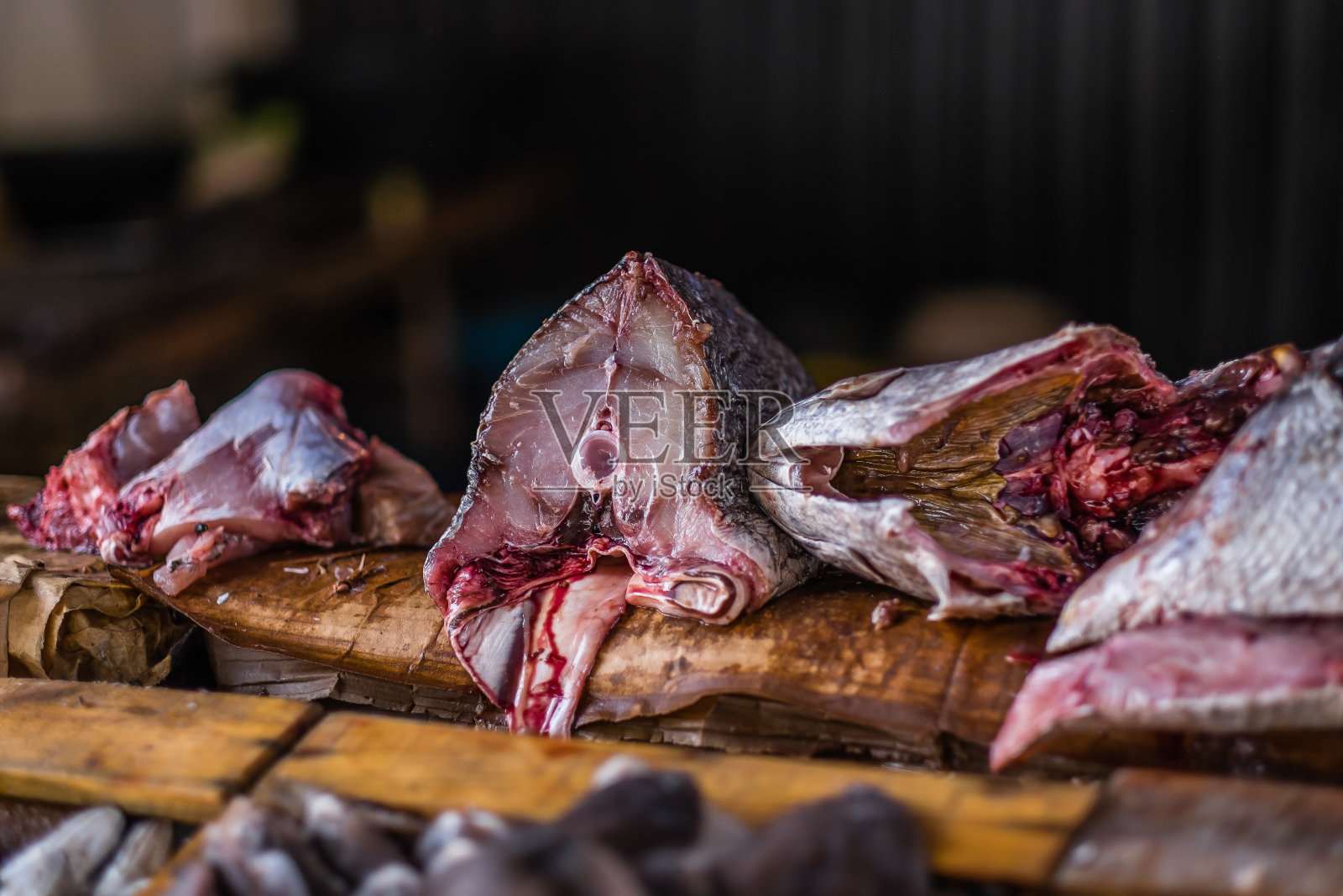 鱼。照片摄影图片