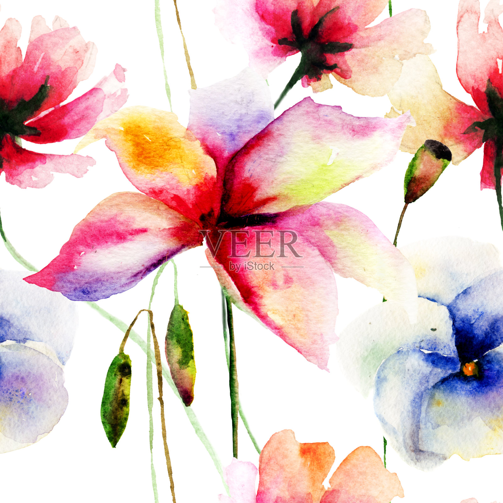 无缝墙纸与野花插画图片素材