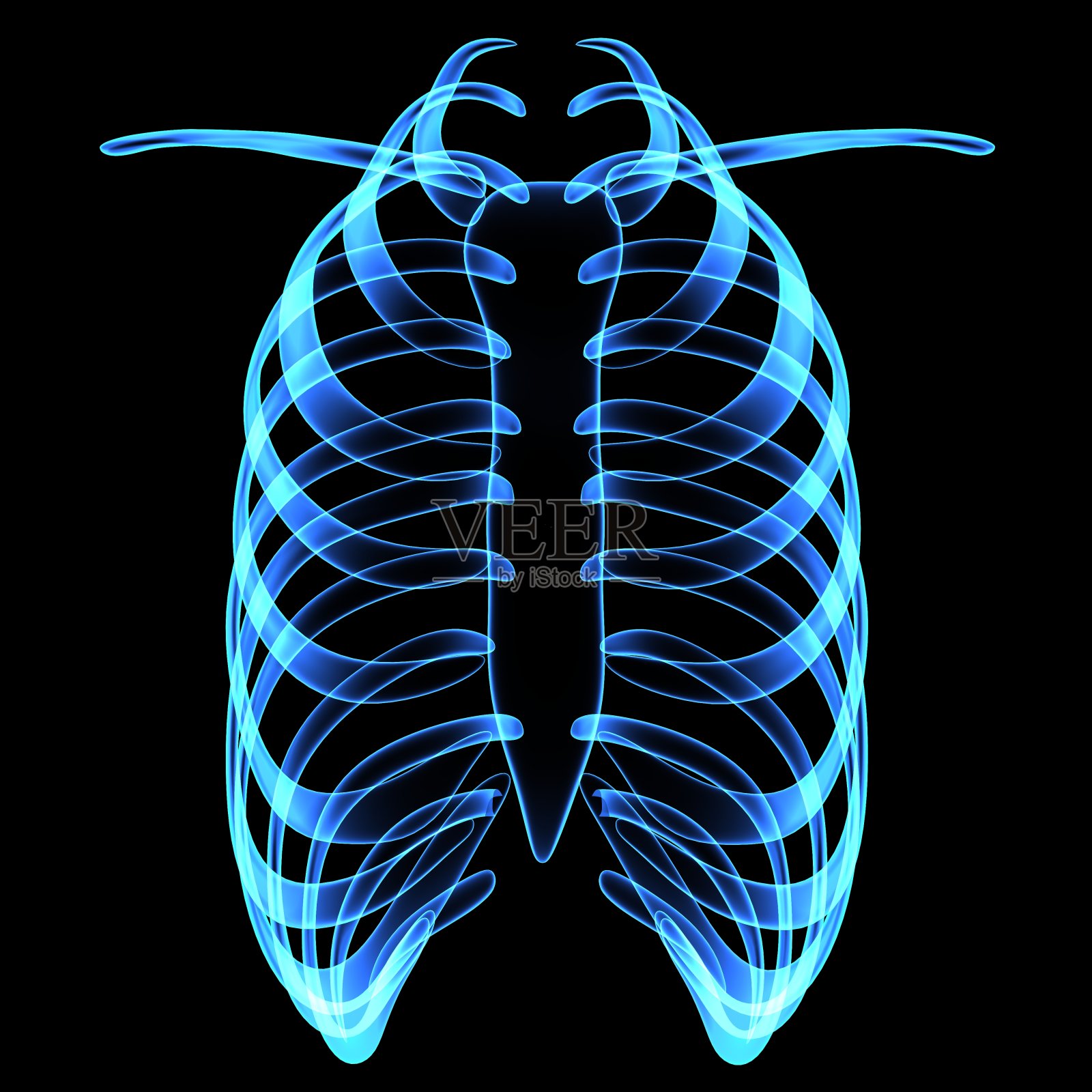 胸腔照片摄影图片