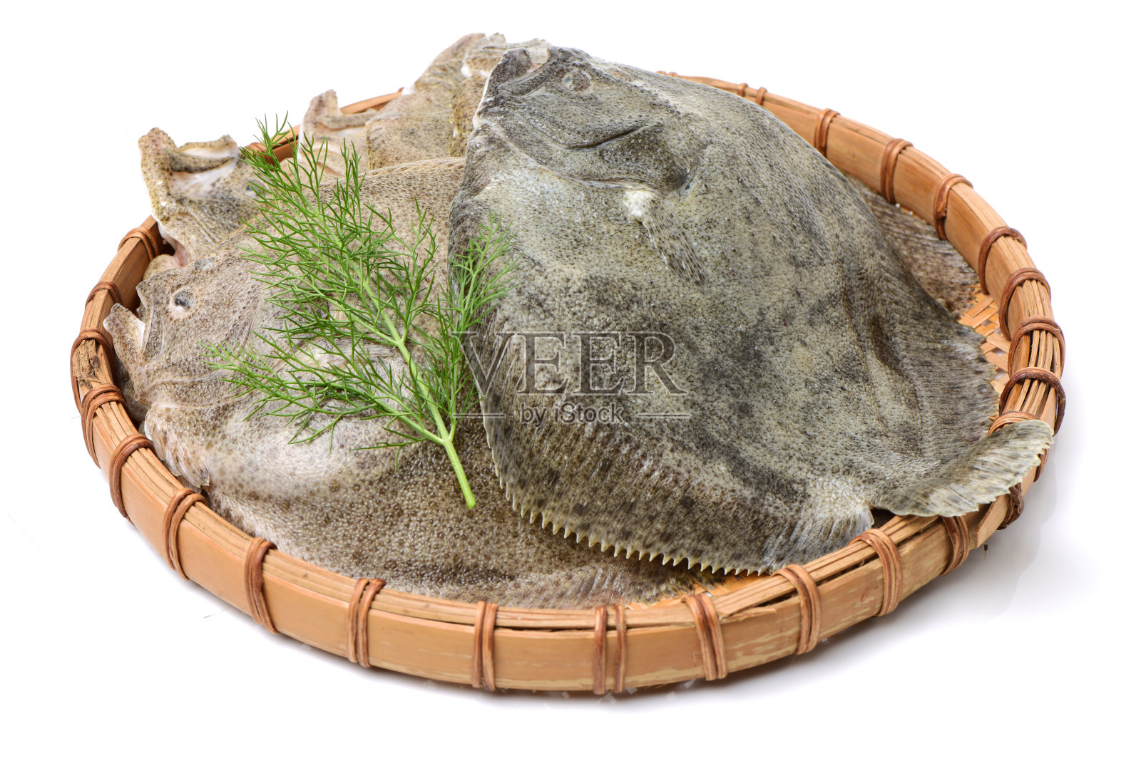 大比目鱼照片摄影图片