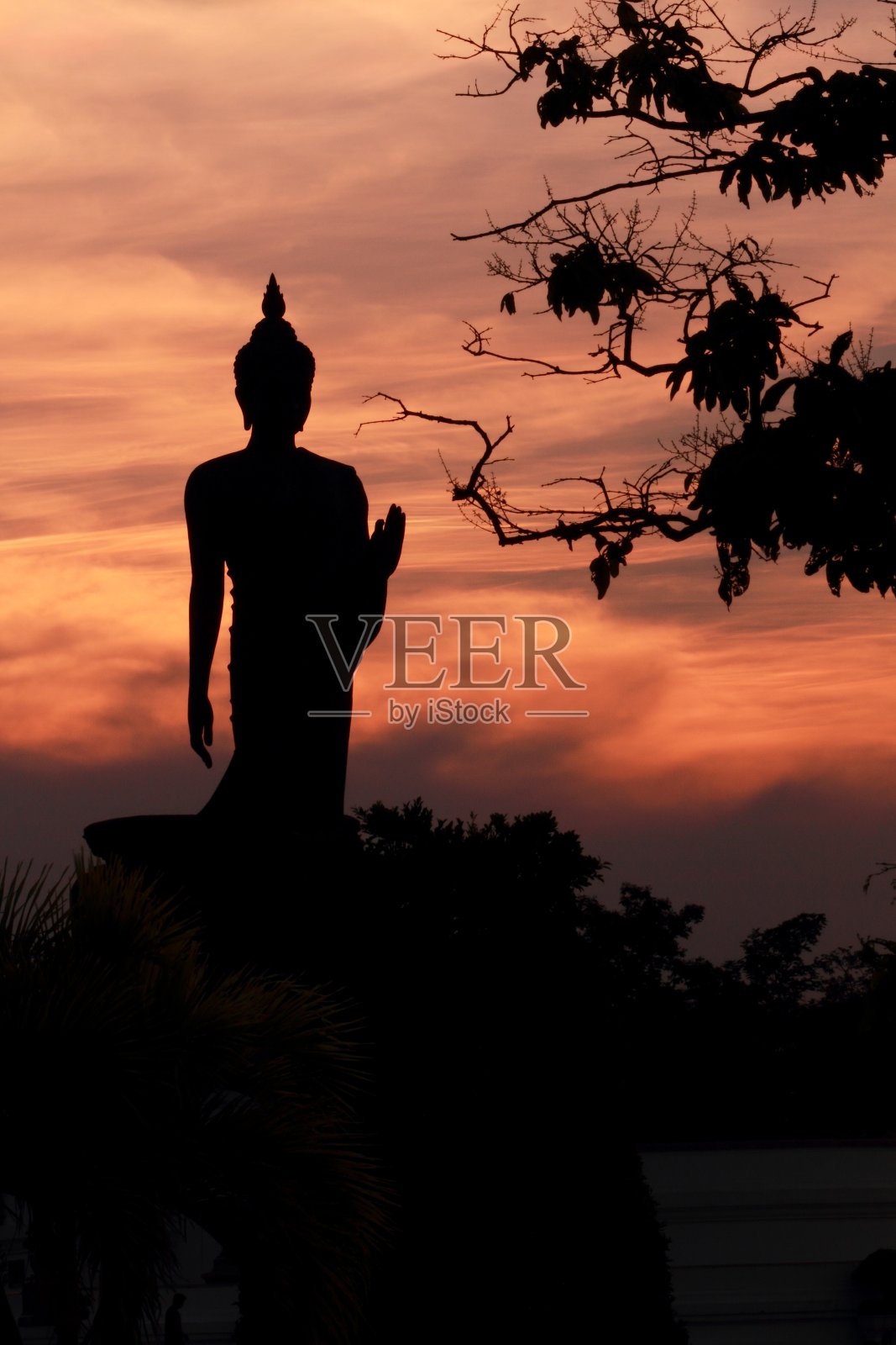 傍晚日落时的佛像。照片摄影图片