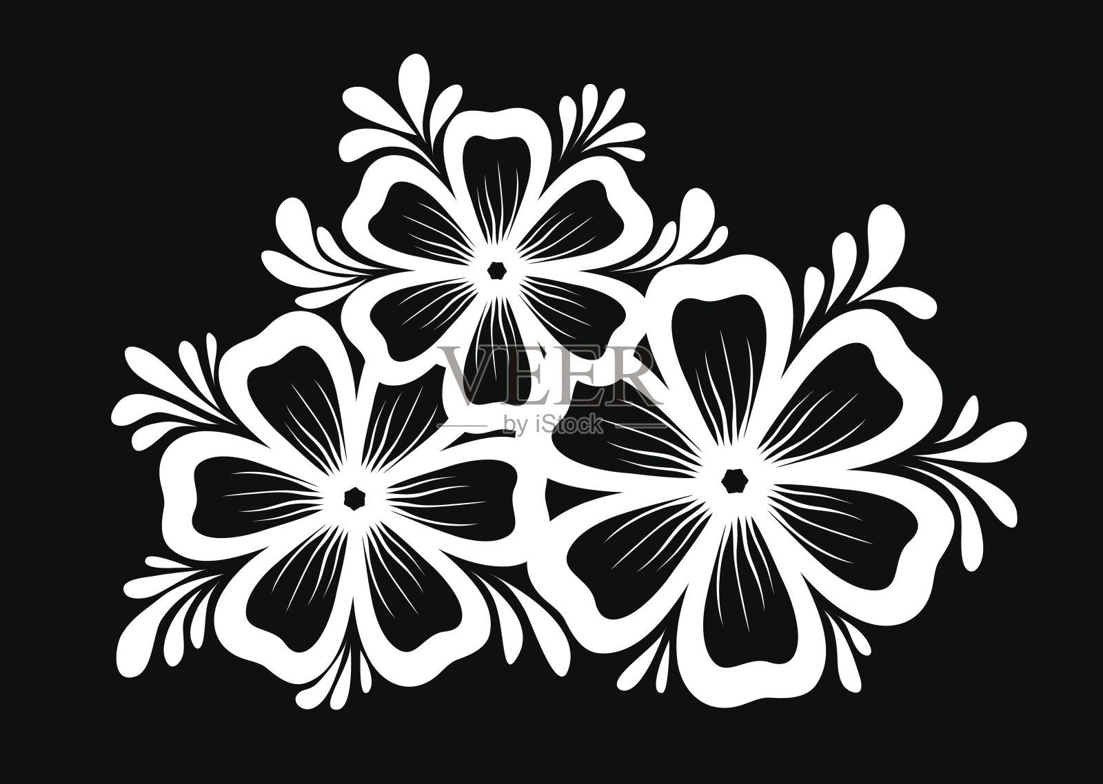 黑色和白色的花和叶孤立。插画图片素材