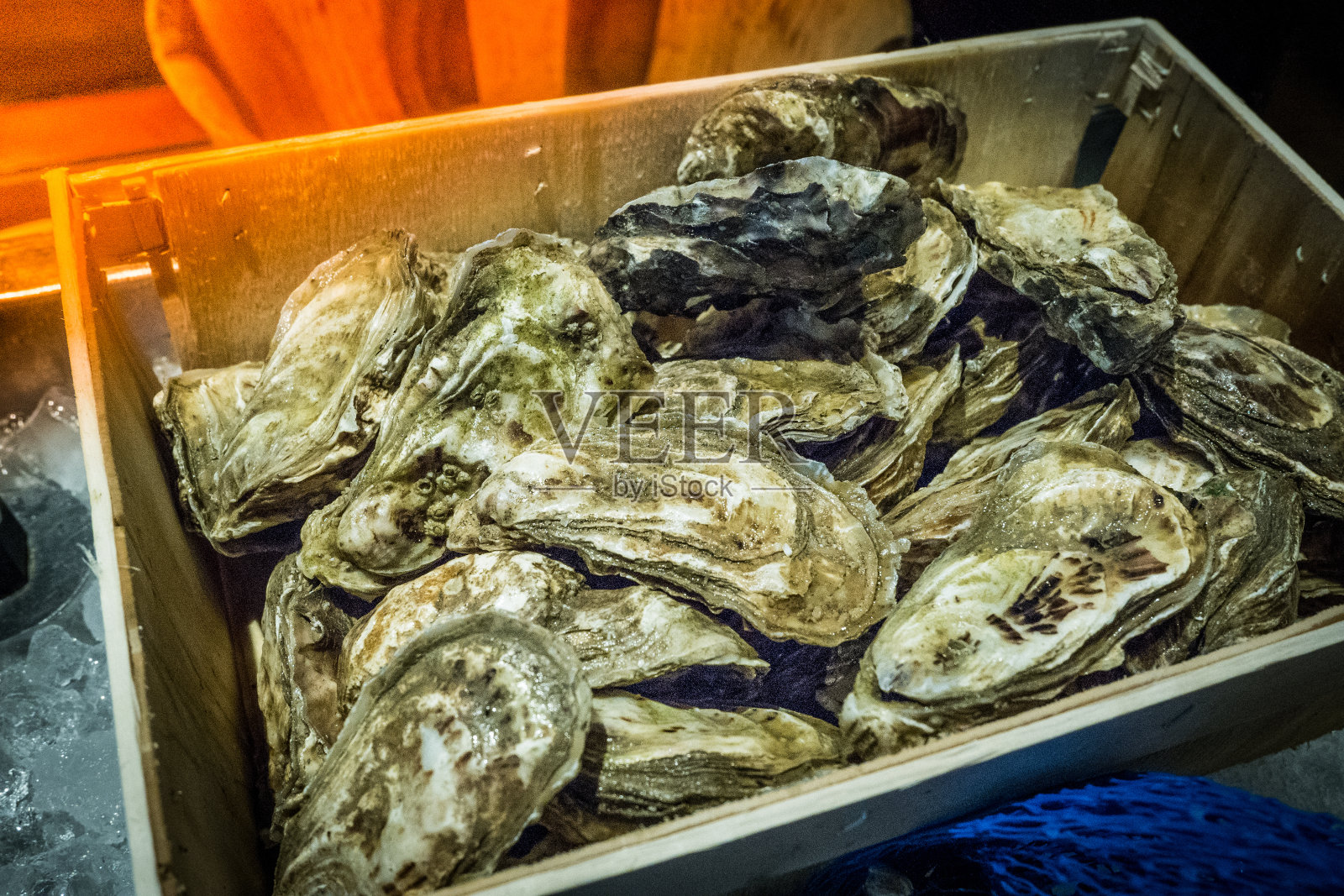 新鲜牡蛎服务照片摄影图片