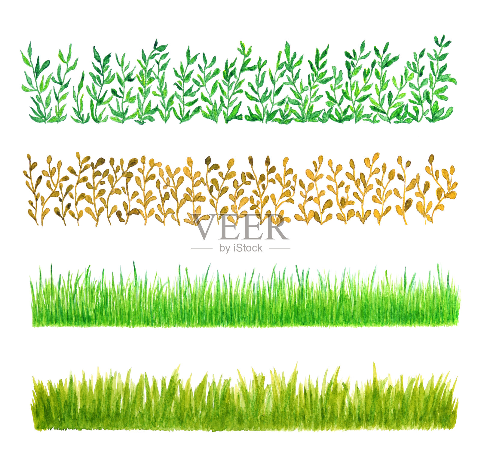 四套水彩草边界，孤立插画图片素材