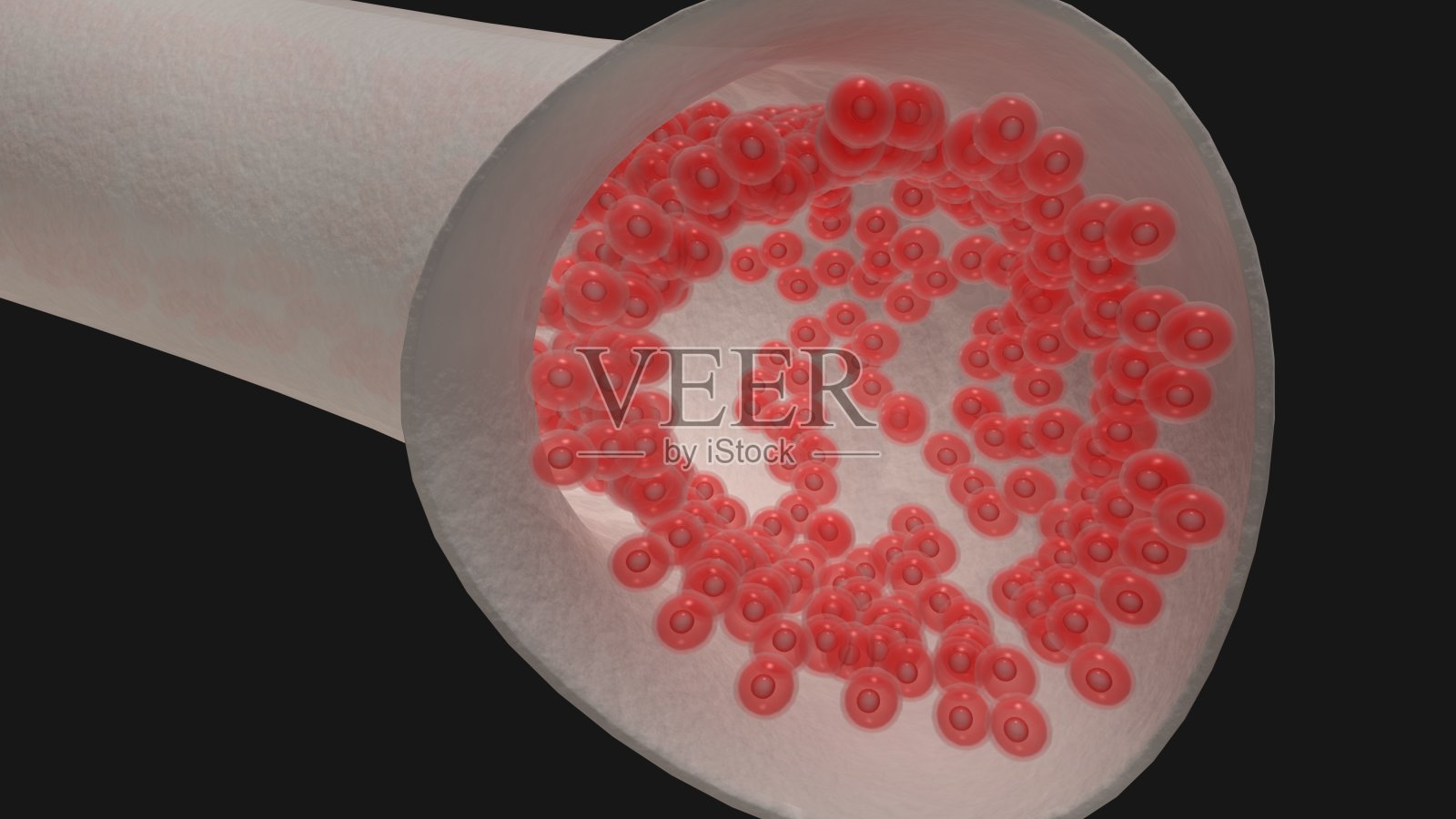 移植物中流动的红细胞的内窥镜图照片摄影图片