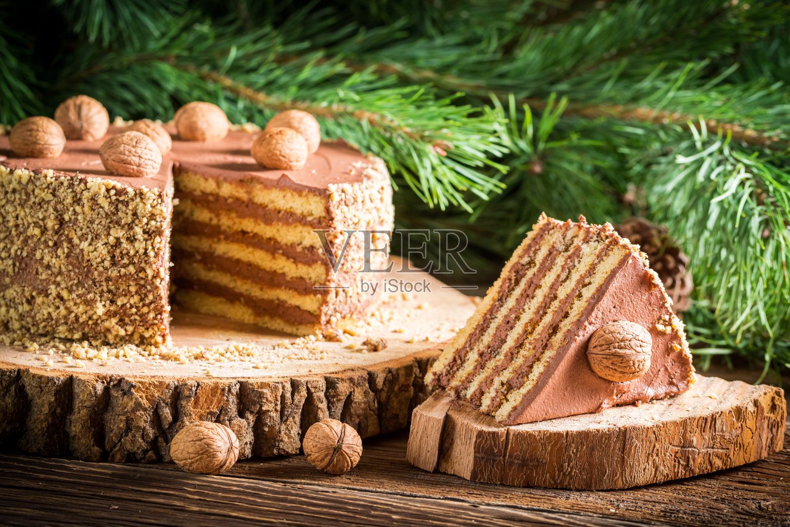 森林里的一块巧克力蛋糕照片摄影图片