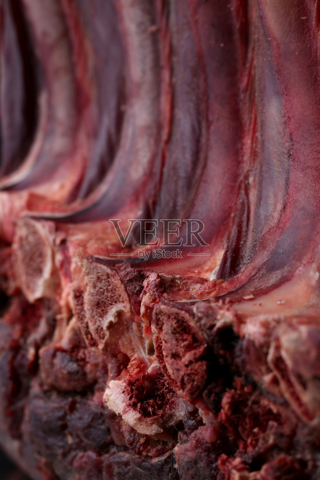 生的新鲜羊肉的背景照片摄影图片