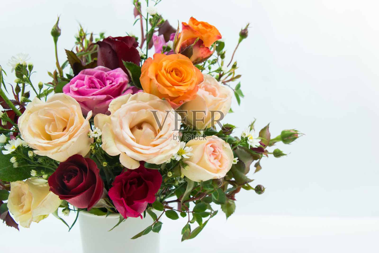 白色背景上的玫瑰花束照片摄影图片