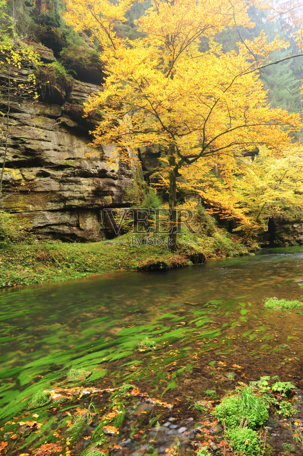 秋天的颜色河照片摄影图片