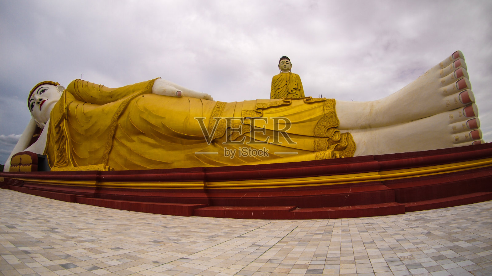 菩提照片摄影图片