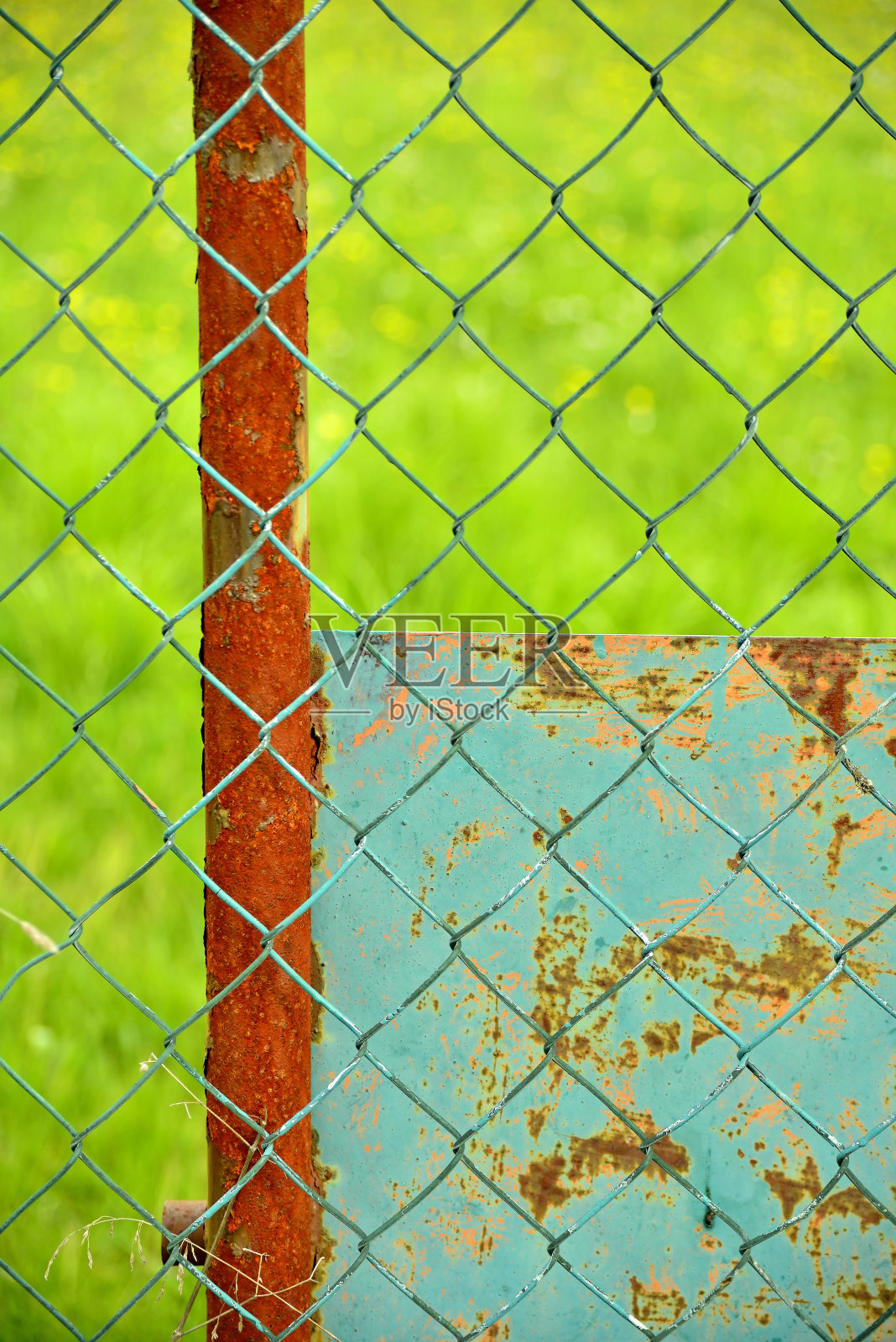 绿色背景的栅栏照片摄影图片