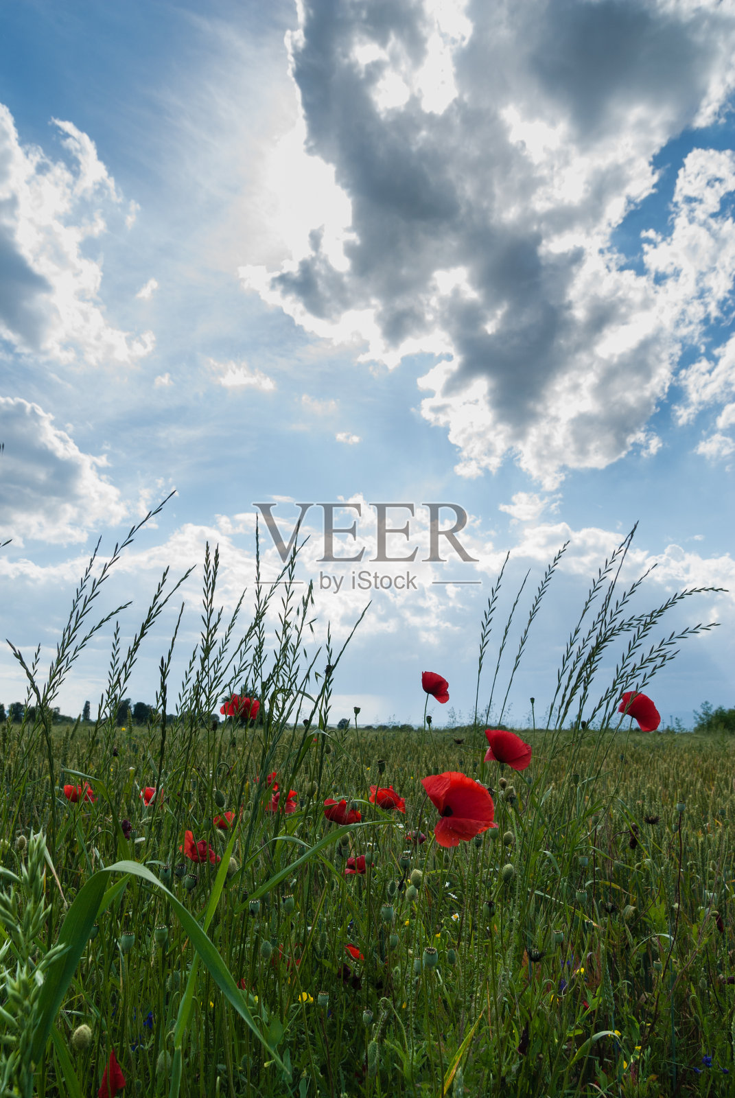 天空是极限照片摄影图片