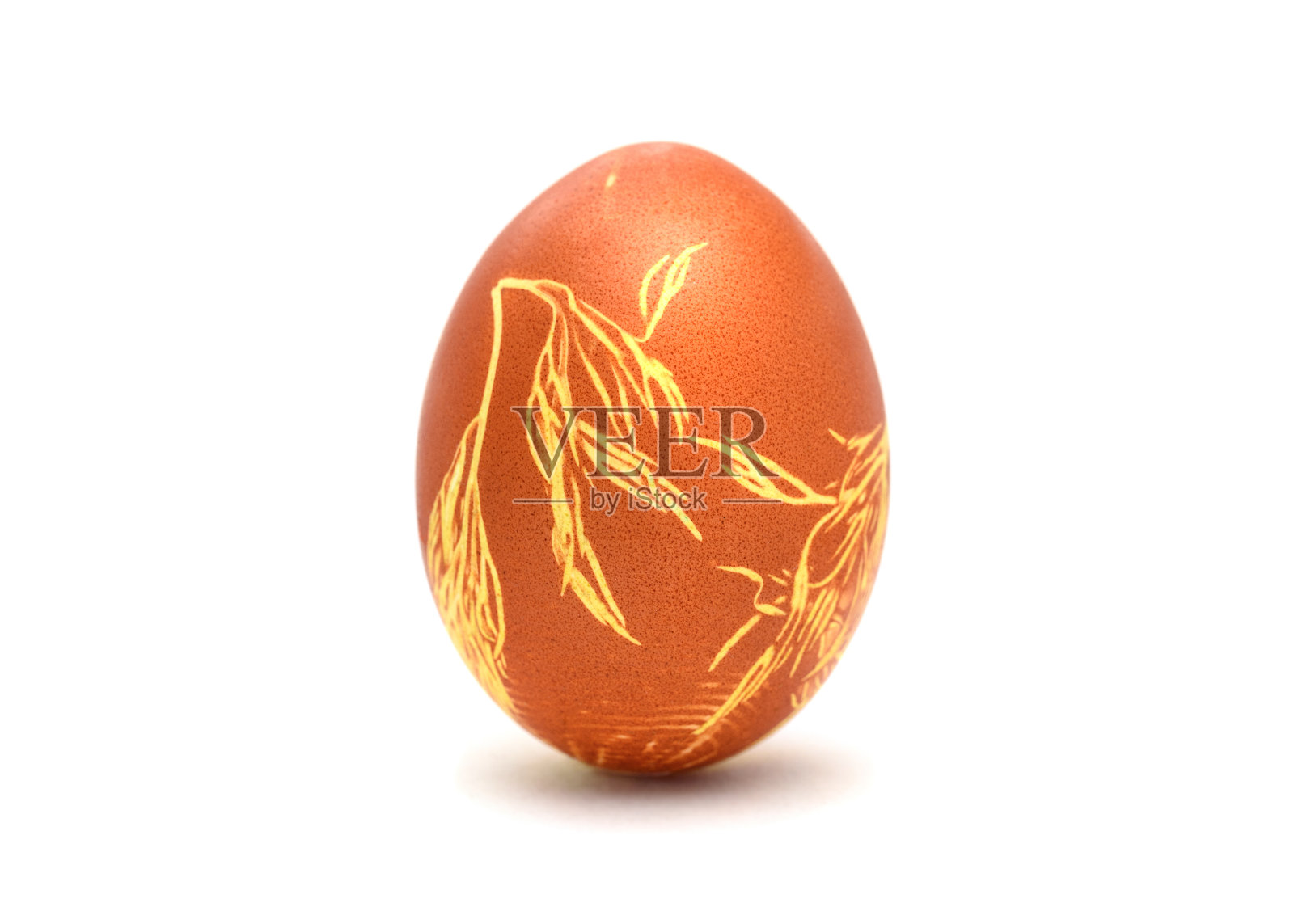 带有茴香叶图案的复活节蛋照片摄影图片