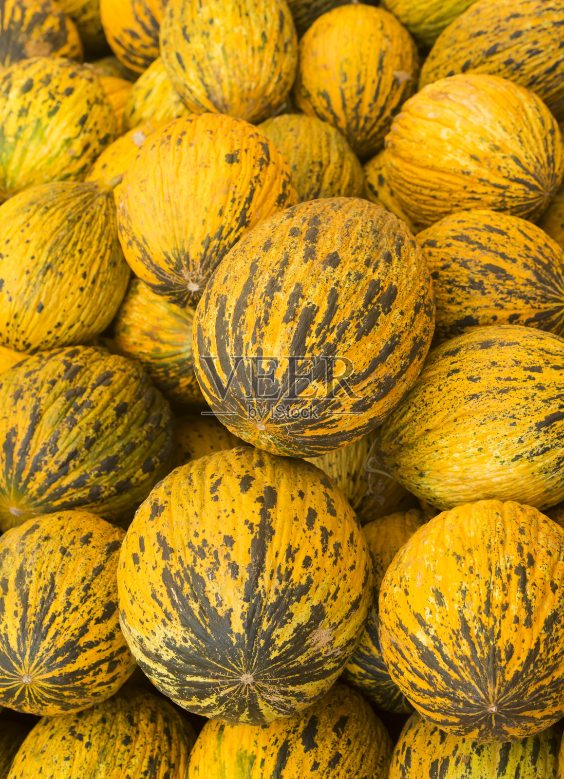 美味的土耳其瓜。很多西瓜。照片摄影图片