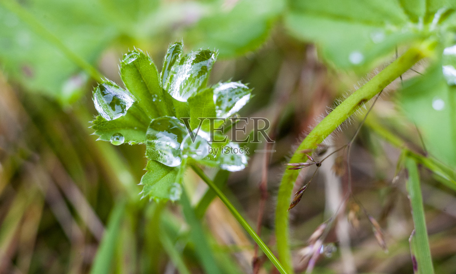 下降6照片摄影图片