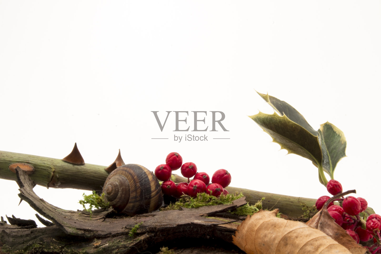 秋天的壁纸照片摄影图片