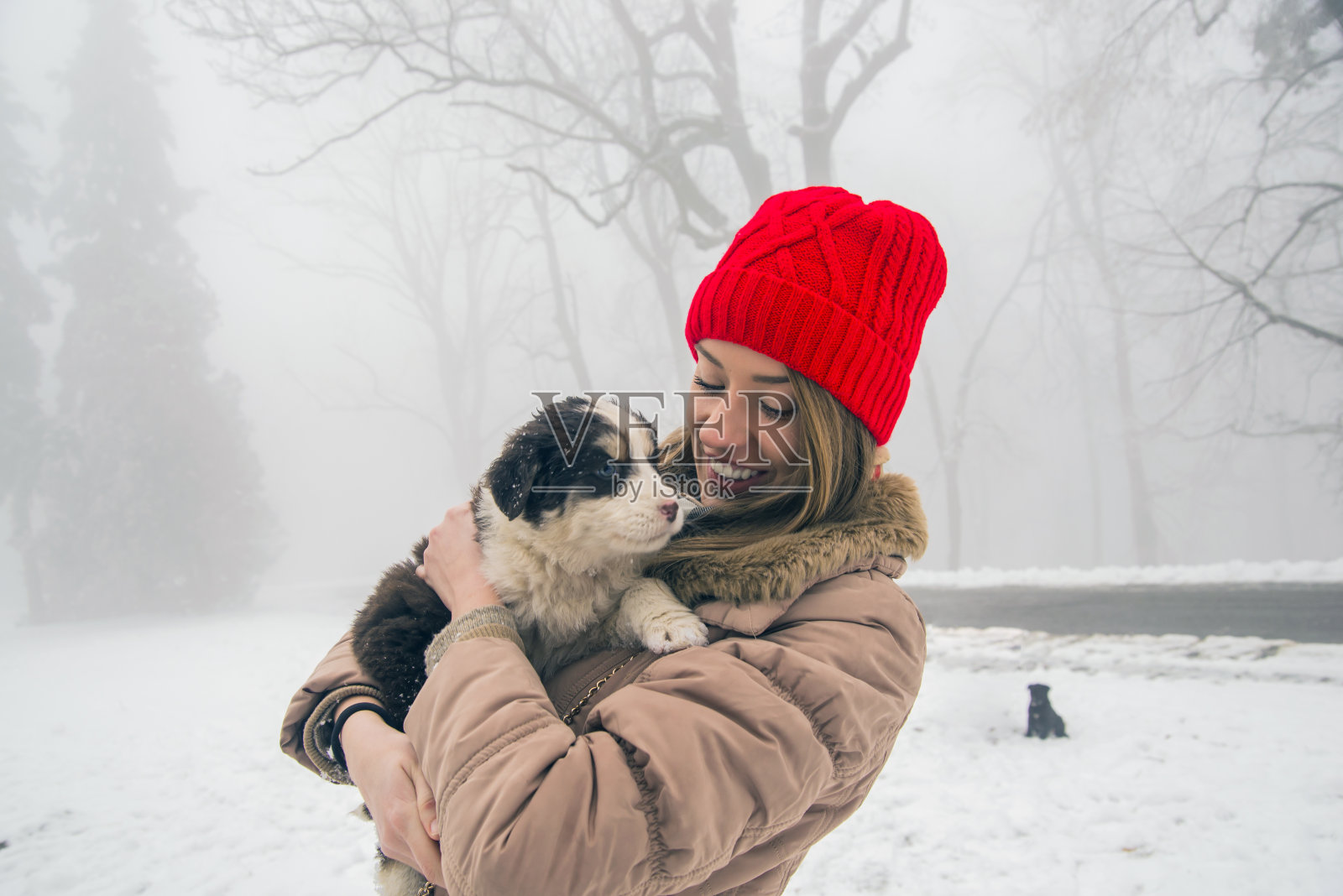 狗和一个在户外散步的女人玩照片摄影图片
