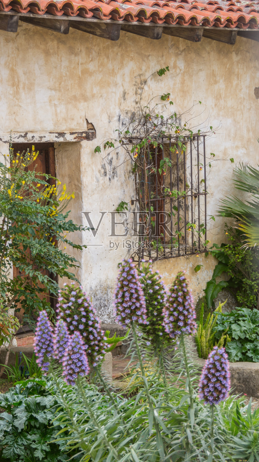 卡梅尔的任务照片摄影图片