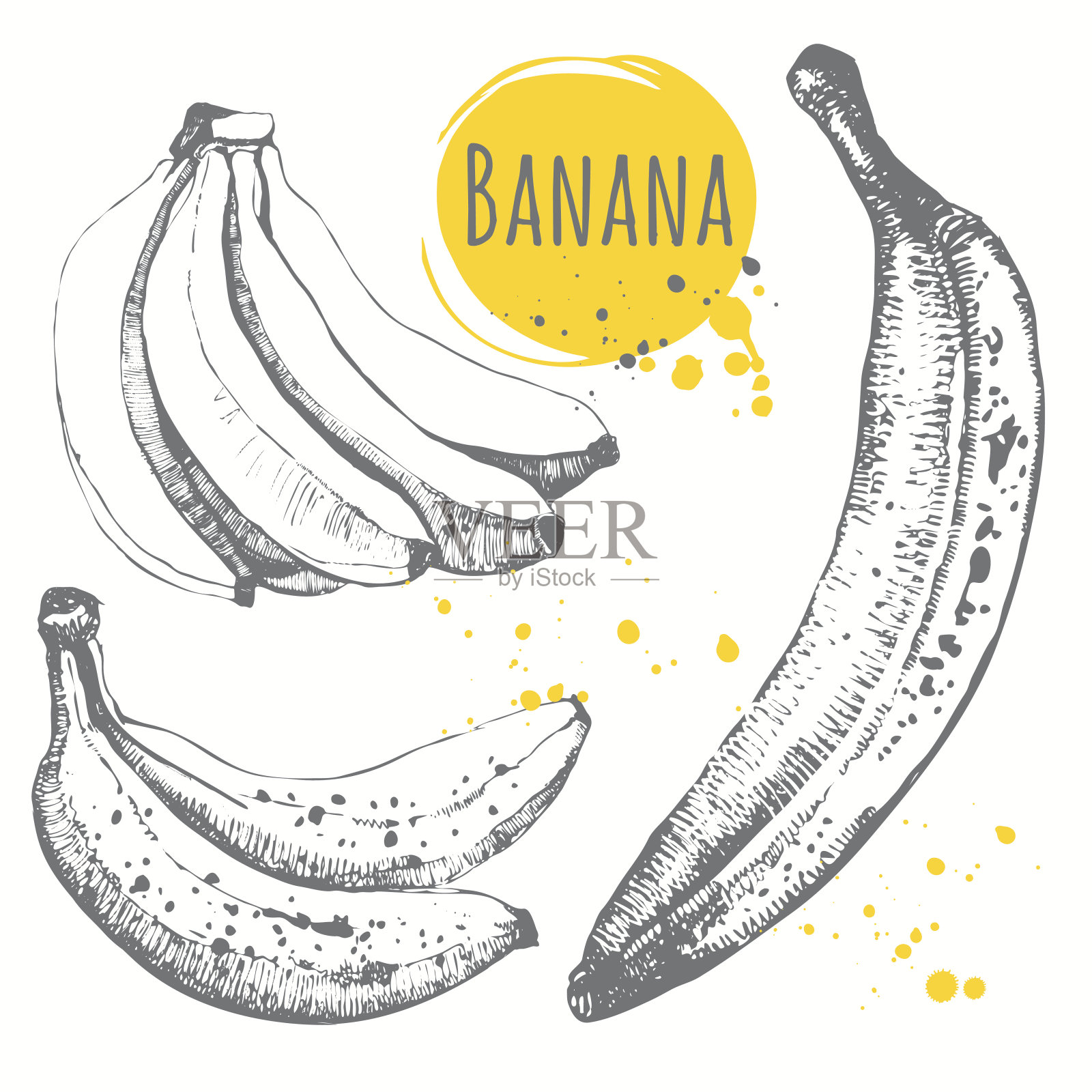 一套手绘香蕉。黑白速写食物。插画图片素材