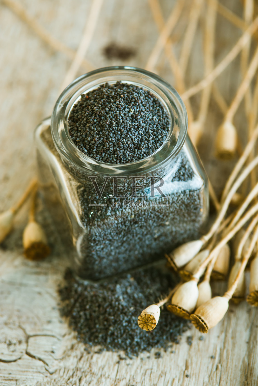 罂粟籽照片摄影图片