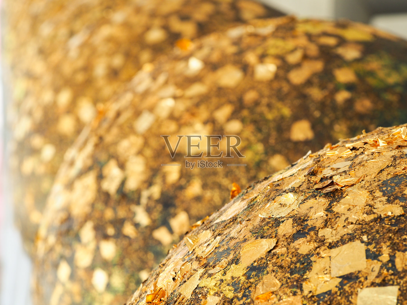 洛克宁一家照片摄影图片