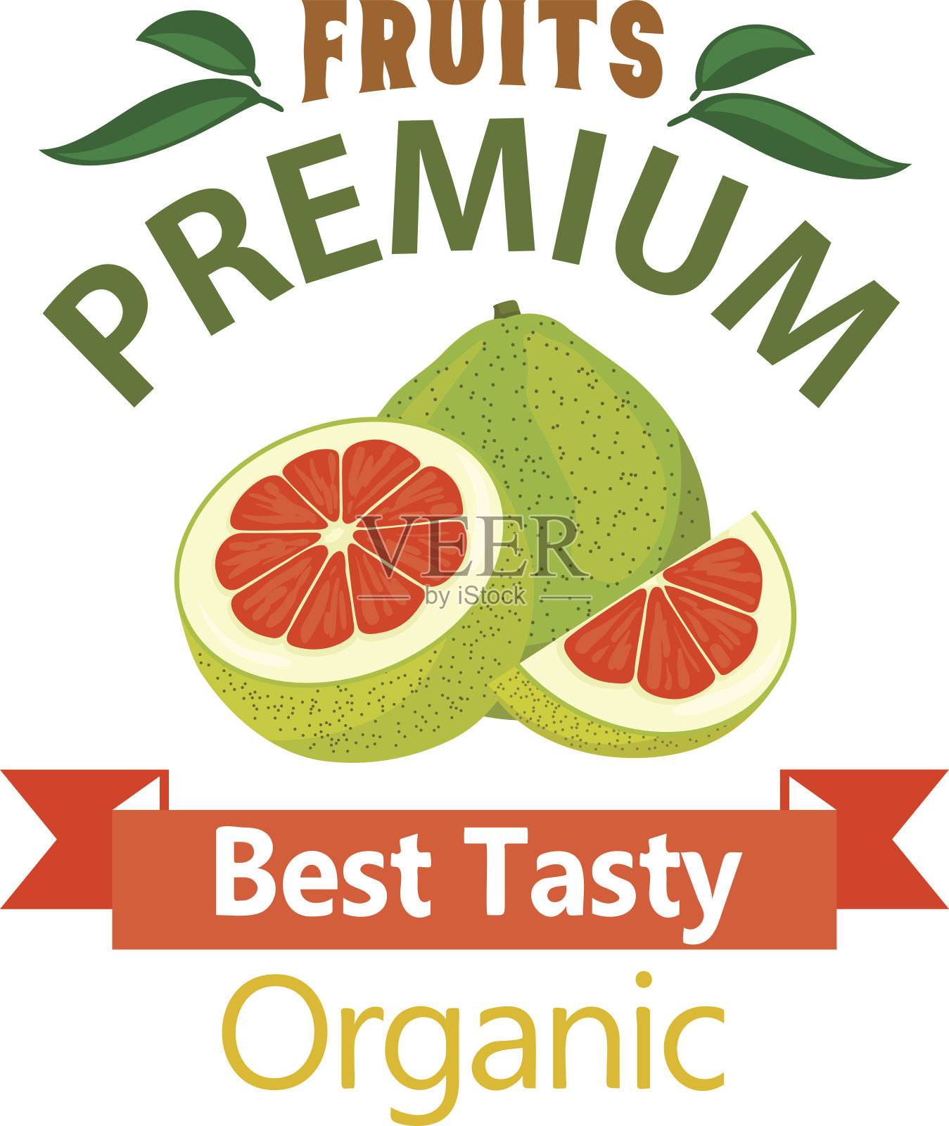 有机柚子水果矢量海报插画图片素材