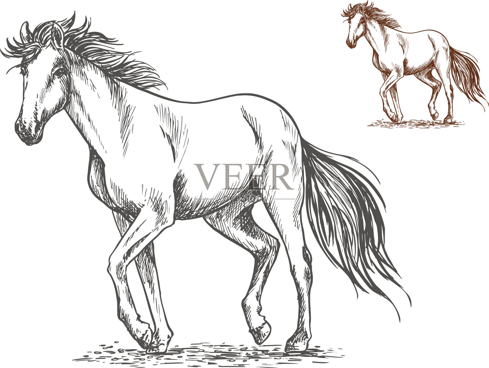 奔跑的白马素描肖像插画图片素材