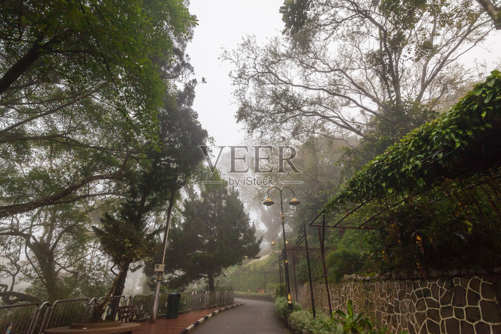 雾蒙蒙的道路表明闹鬼照片摄影图片