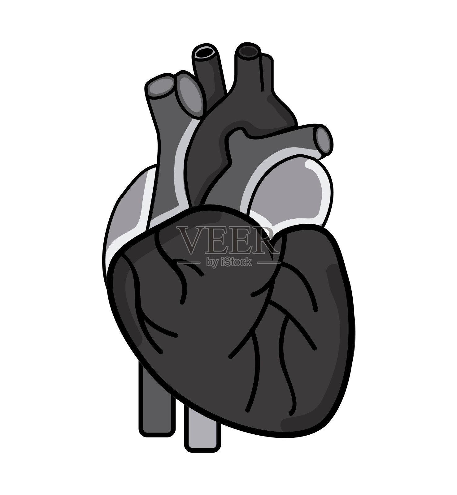 医疗设计插画图片素材