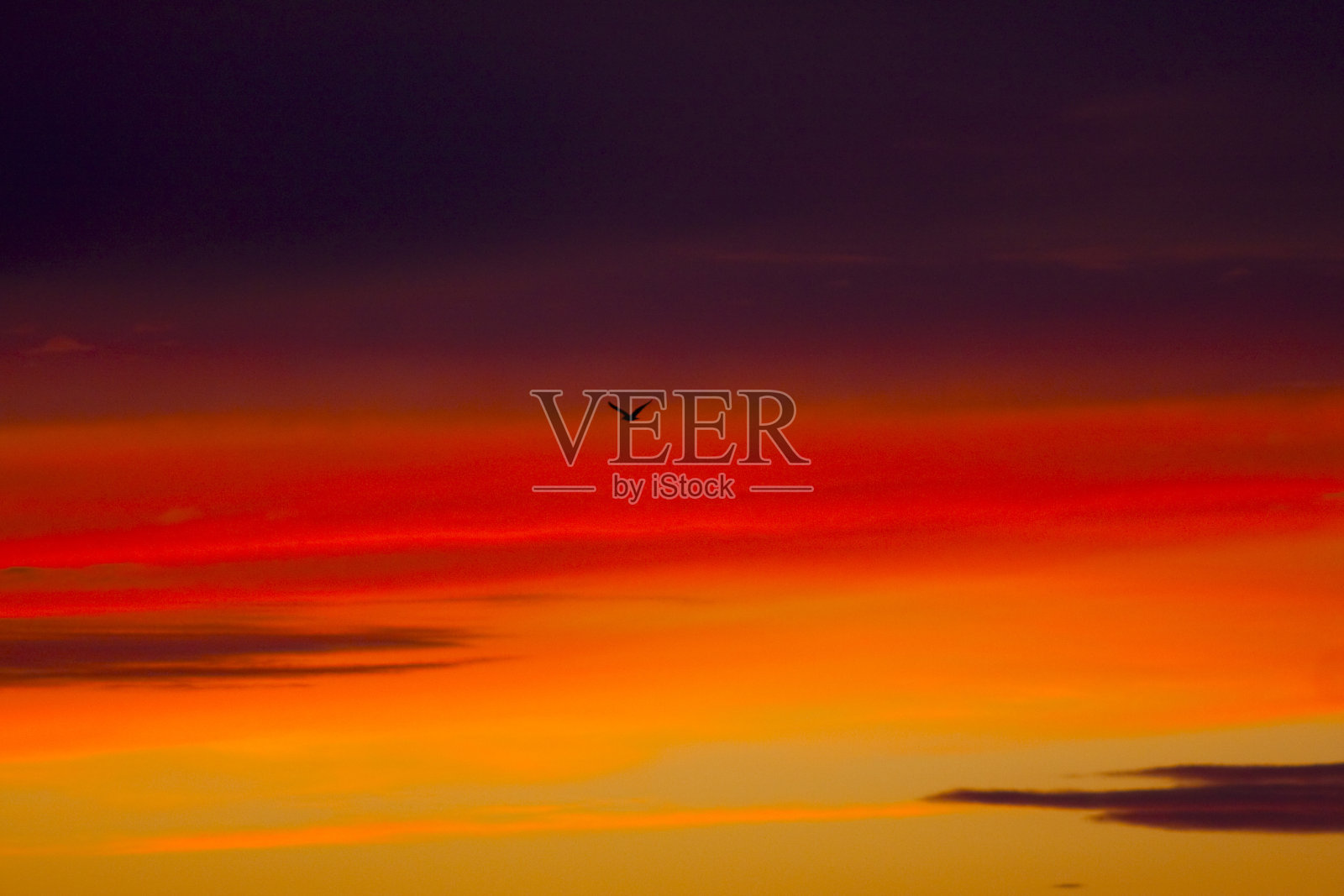 低日落照片摄影图片