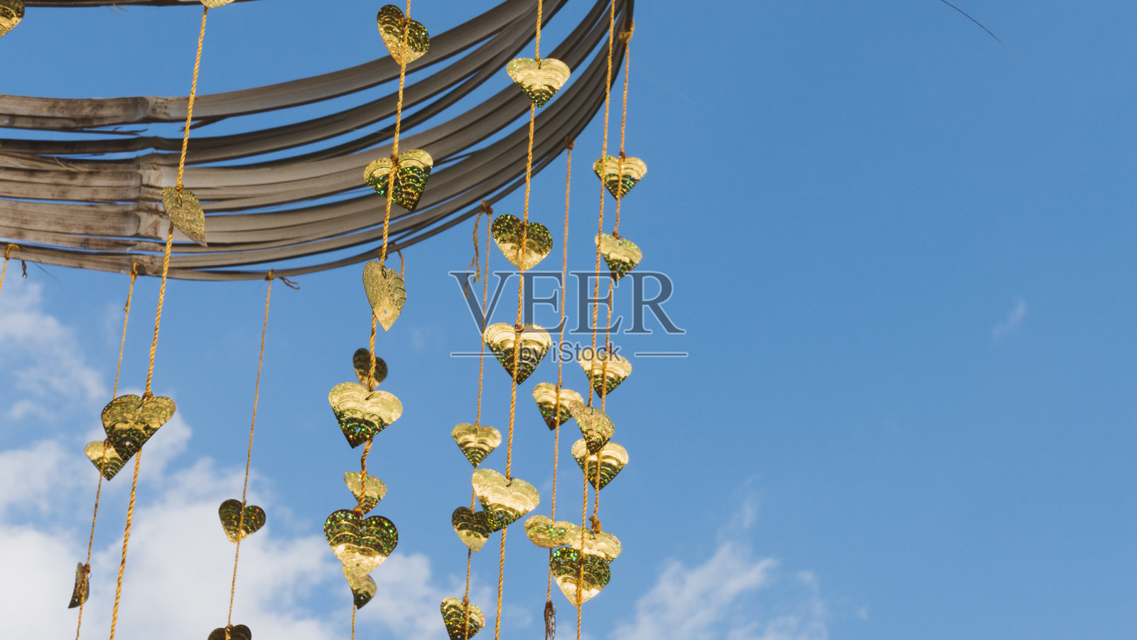 金粉叶子挂在金色的树上照片摄影图片