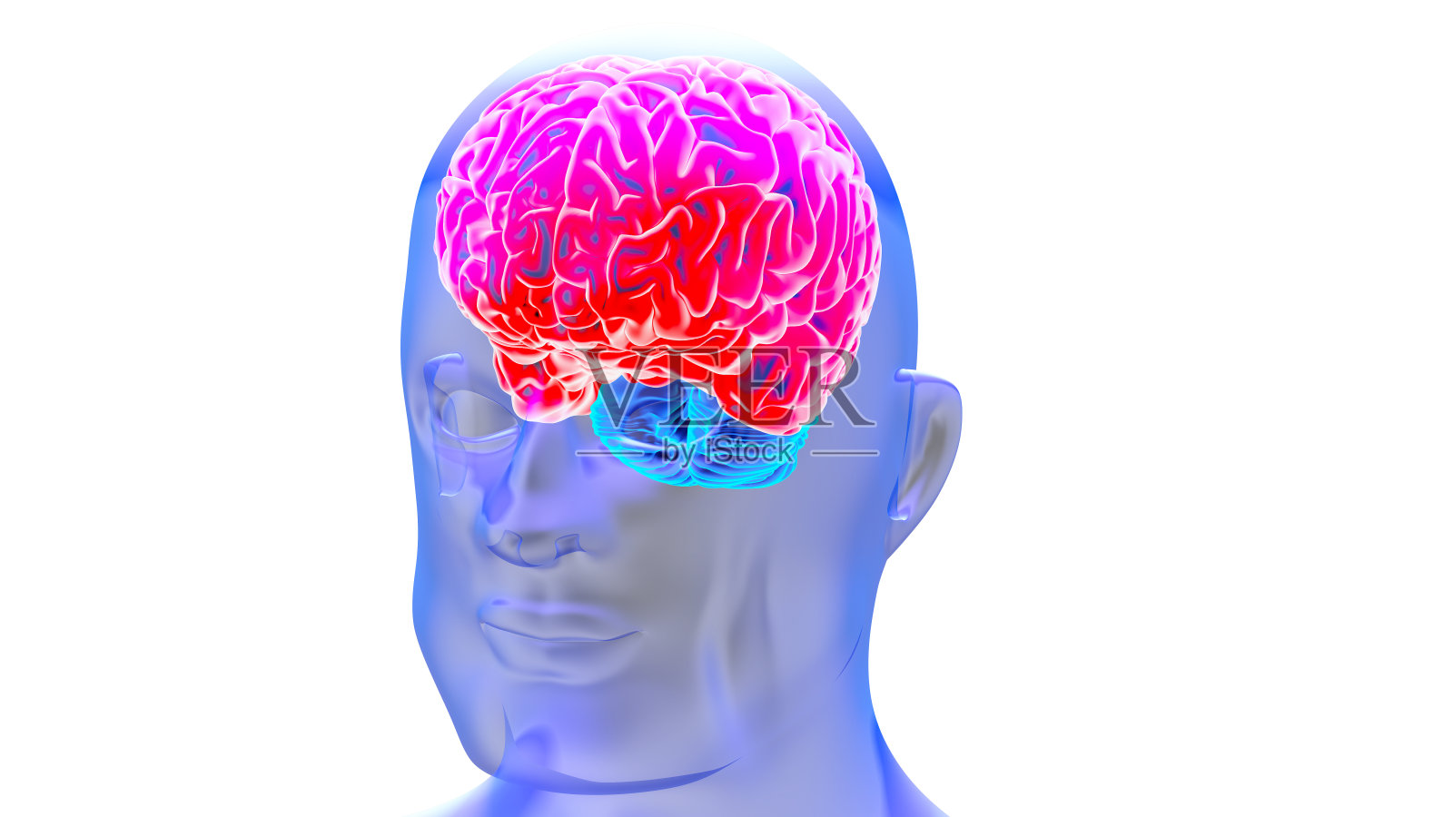 人脑3D渲染插画图片素材
