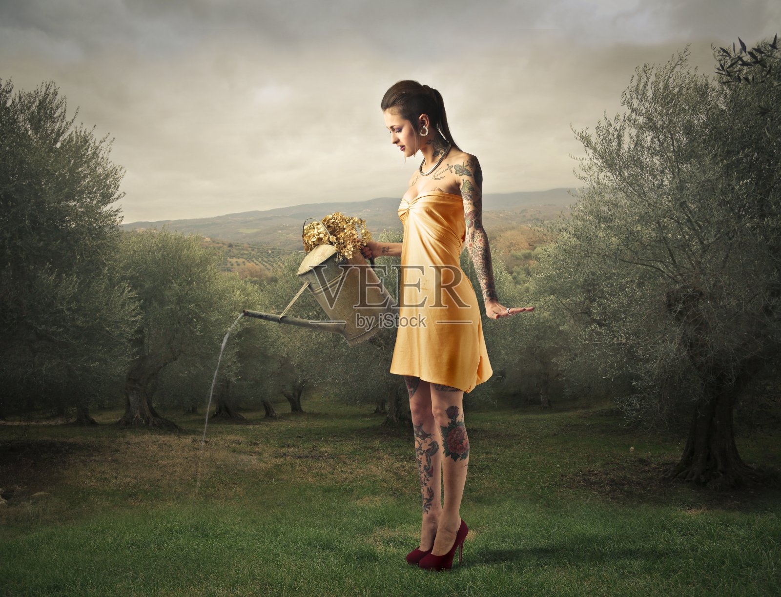 春天的童话照片摄影图片