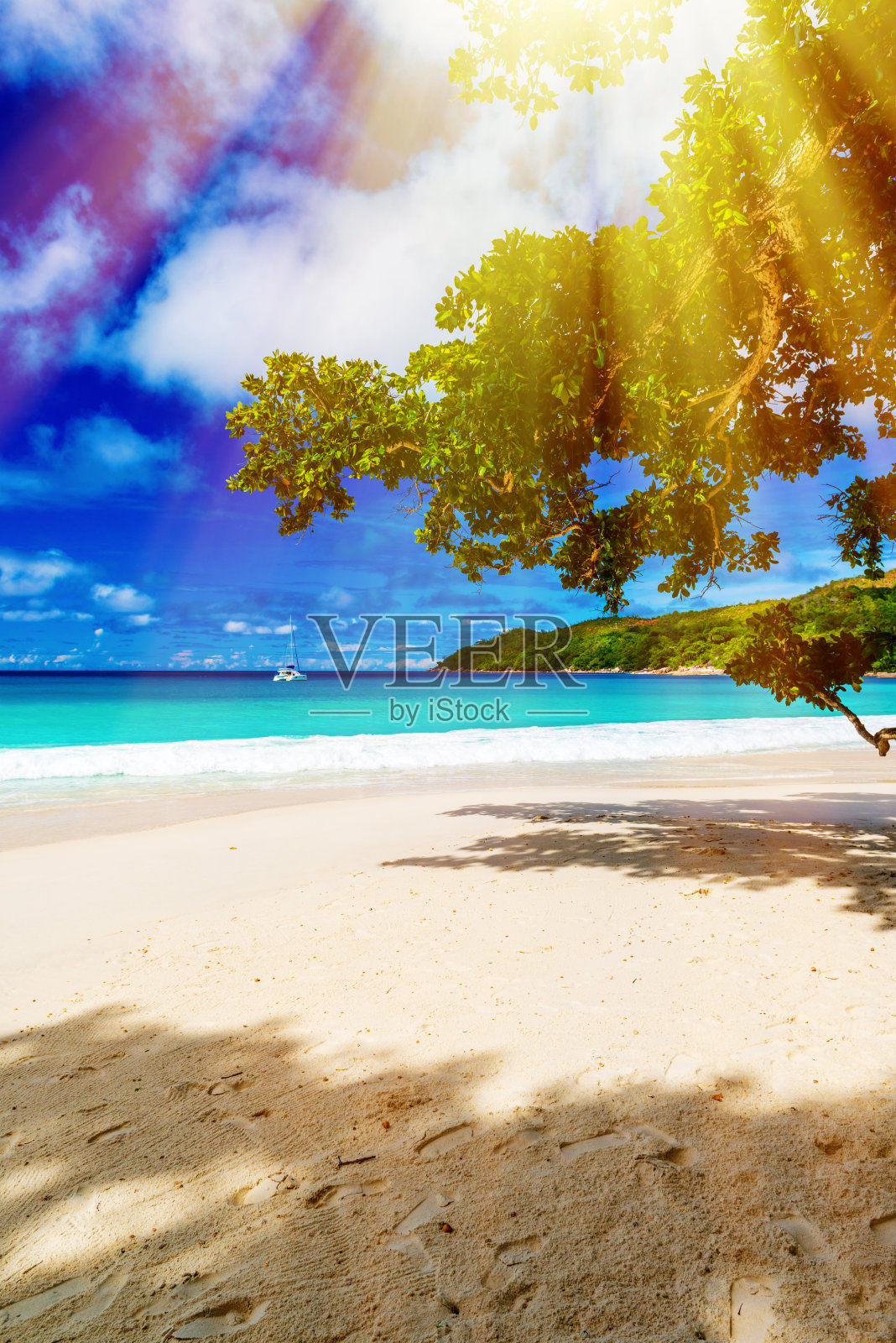 热带岛屿。塞舌尔。健美的形象。照片摄影图片