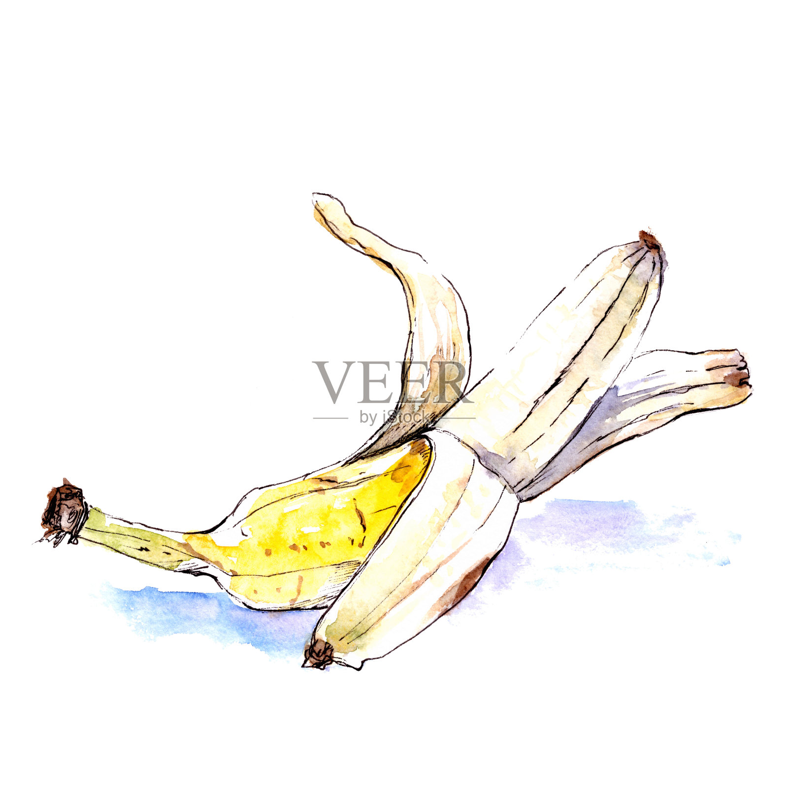 去皮香蕉水墨水彩画插画图片素材