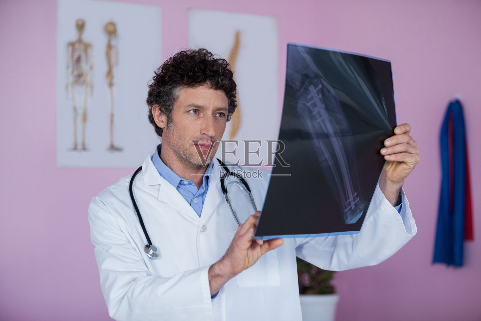 理疗师检查病人的X光片照片摄影图片