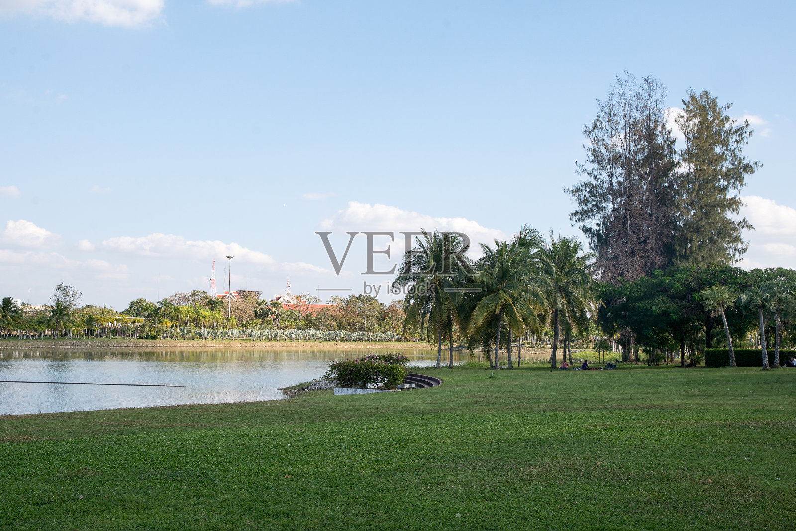 公园里的蓝天和白云照片摄影图片