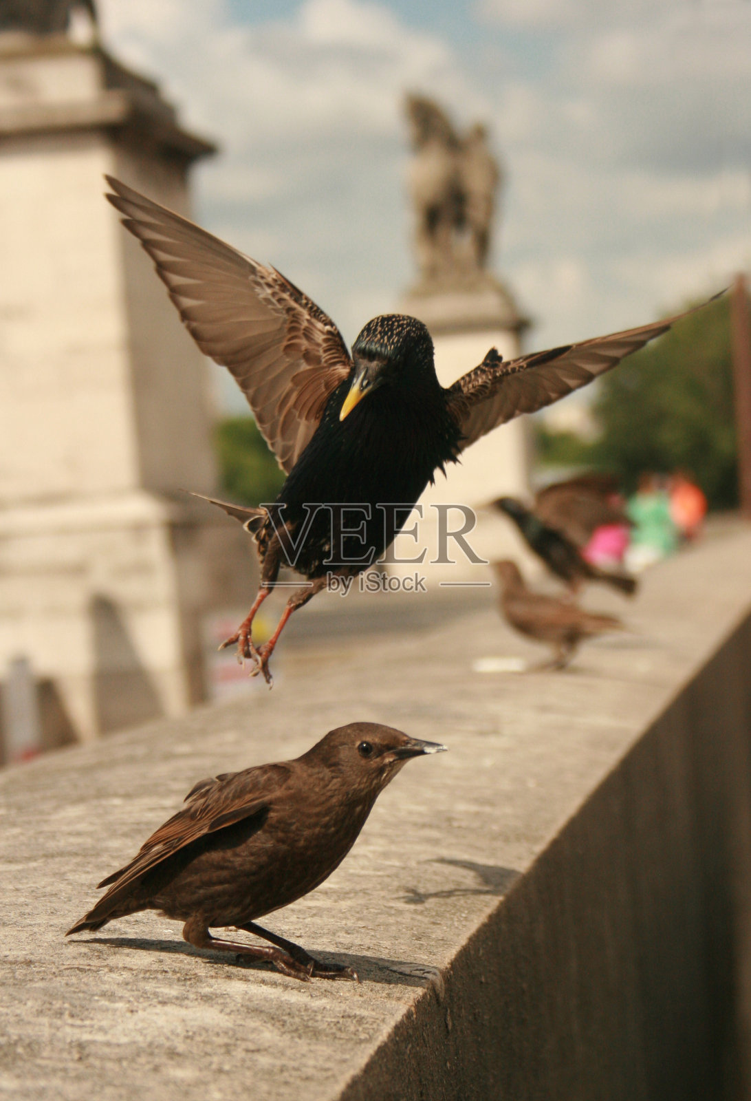 飞行在巴黎照片摄影图片