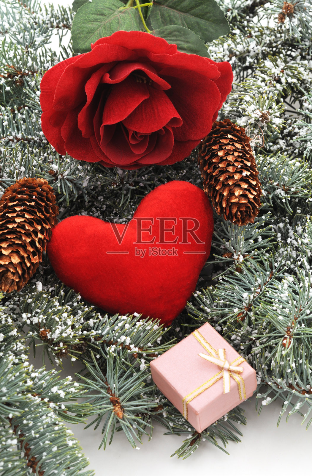 红玫瑰和心。照片摄影图片