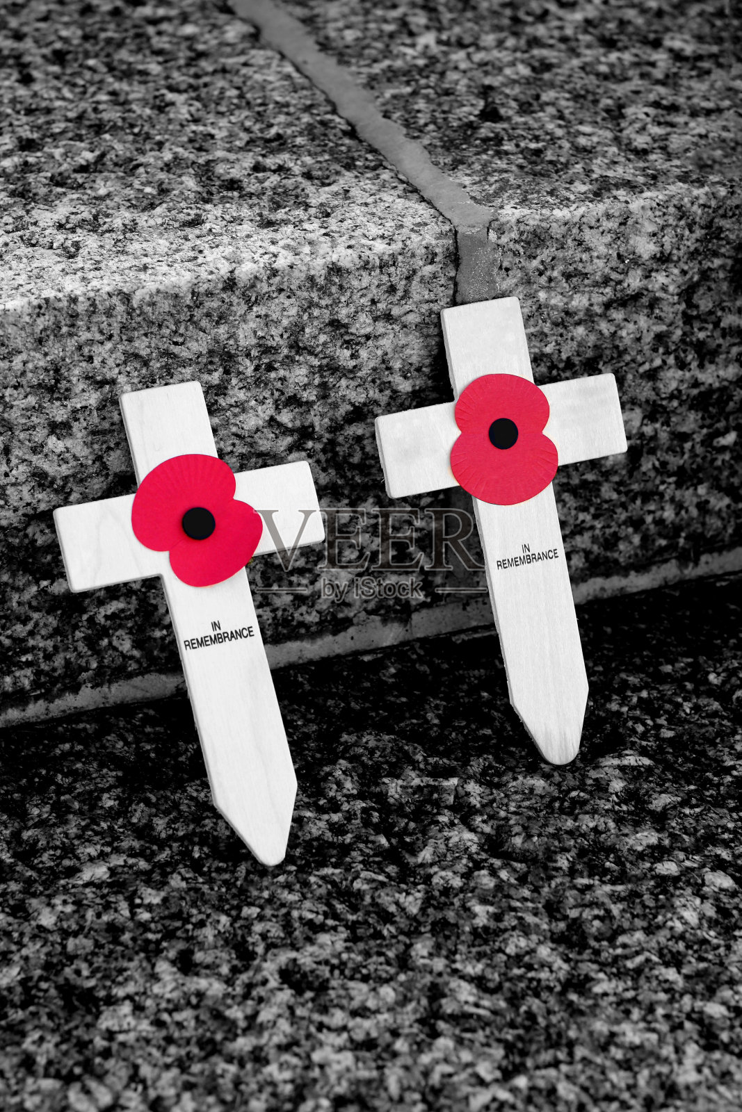 荣军纪念日照片摄影图片