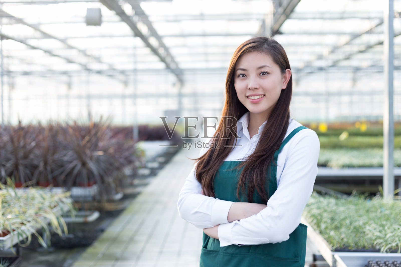 年轻的亚洲妇女在温室工作照片摄影图片