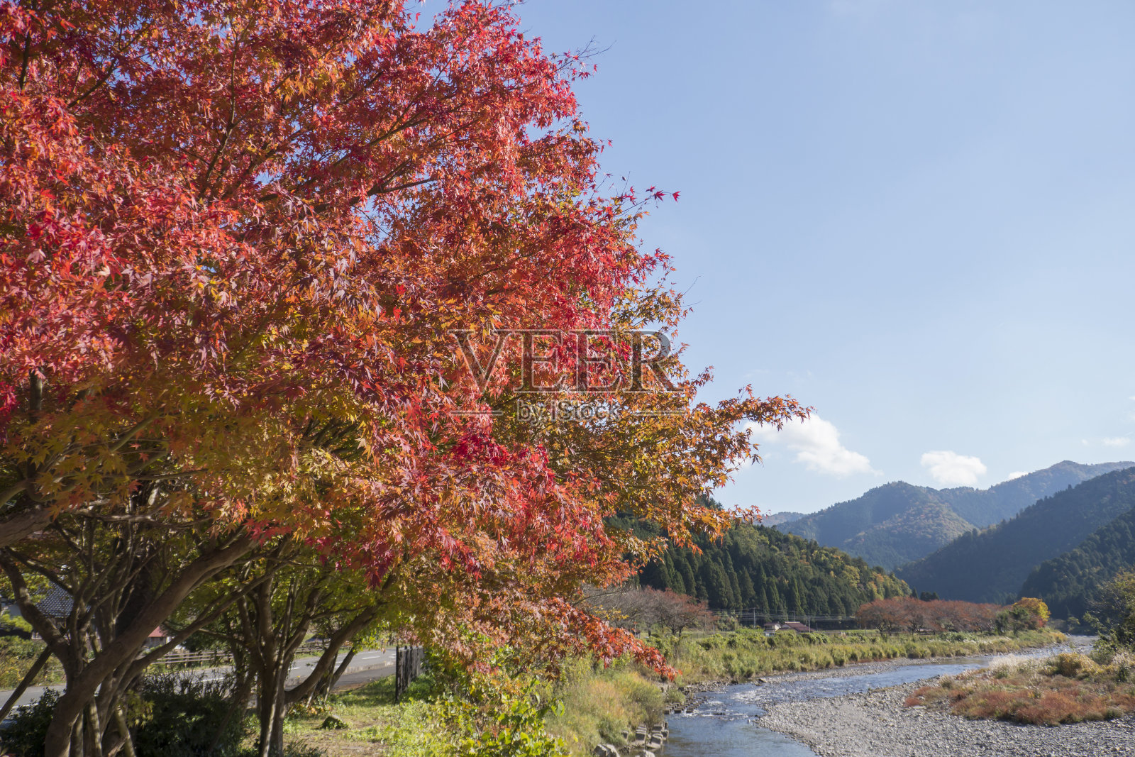 京都的秋色照片摄影图片